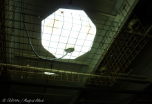 dhl-arena_ma_33