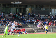 2017-05-24 09_04_06-IMG_0024.JPG - IrfanView (Zoom_ 2018 x 1346)