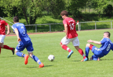 2017-05-24 09_37_12-IMG_0041.JPG - IrfanView (Zoom_ 2220 x 1480)