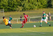 2014-06-06-Wurmlingen-FCR-1-5-1050