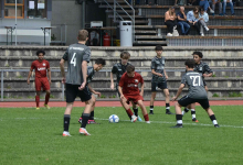 DSC_8514