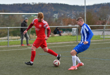 FC Rottenburg vs. TSF Dornhan, Fussball, Landesliga 3 Wuerttemberg, 15. Spieltag, Saison 2024/2025, 23.11.2024, 

Foto: Ralph Kunze