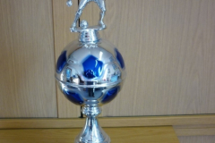 38.Rottenburger Stadtpokal 2013 | Pokale