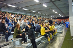 38.Rottenburger Stadtpokal 2013 | Zuschauer